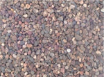 Gravel 1/8 X 1/4 for Under Bedding Tanks